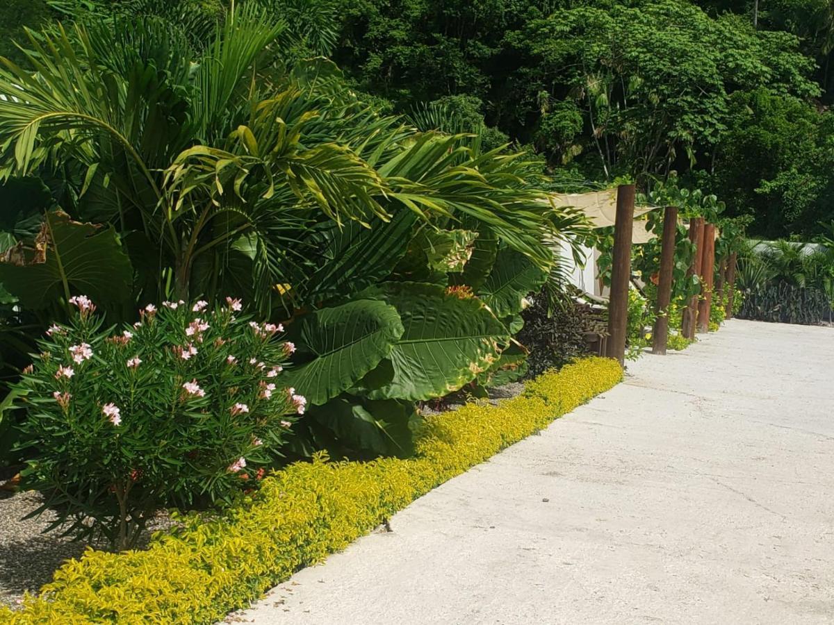 Malaki Hotel Los Ayala Luaran gambar